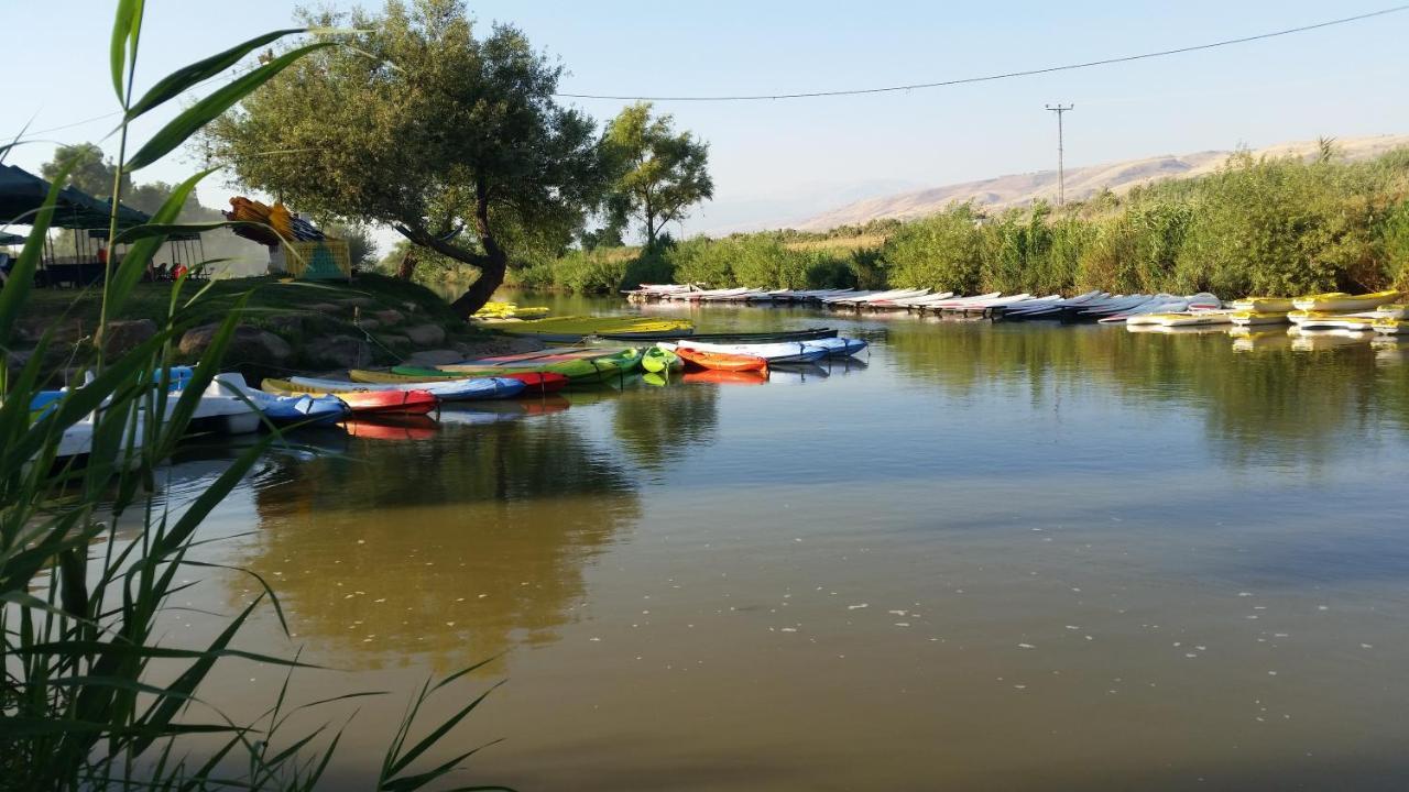 Naftali Albilia קריית שמונה מראה חיצוני תמונה